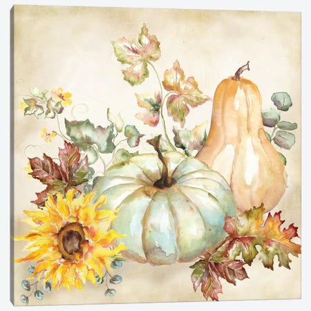 Watercolor Harvest Pumpkin II Canvas Print #TSS189} by Tre Sorelle Studios Canvas Wall Art