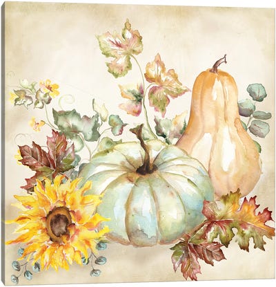 Watercolor Harvest Pumpkin II Canvas Art Print - Botanical Still Life
