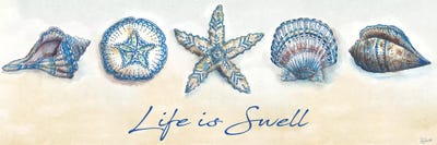 Bohemian Shells Panel by Tre Sorelle Studios framed canvas print