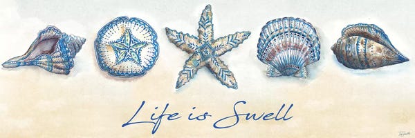 Tre Sorelle Studios: Bohemian Shells Panel by Tre Sorelle Studios