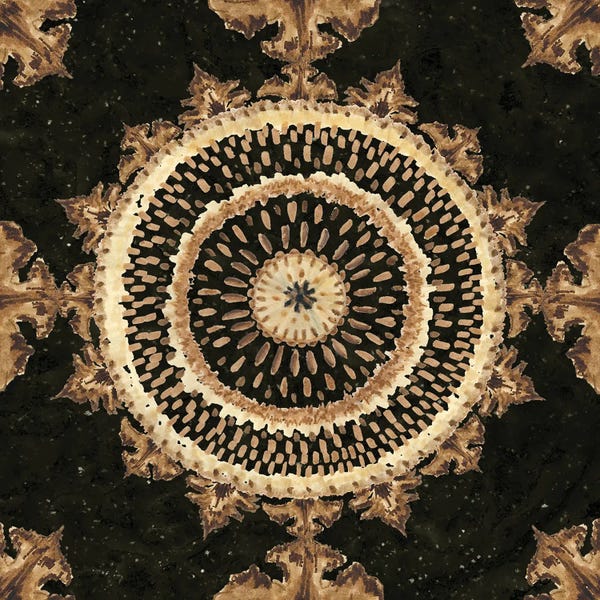 Tre Sorelle Studios: Warm Tribal Texture Medallion II by Tre Sorelle Studios