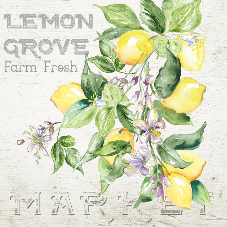 Lemon Grove II