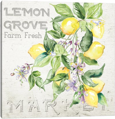 Lemon Grove II Canvas Art Print - Food & Drink Typography