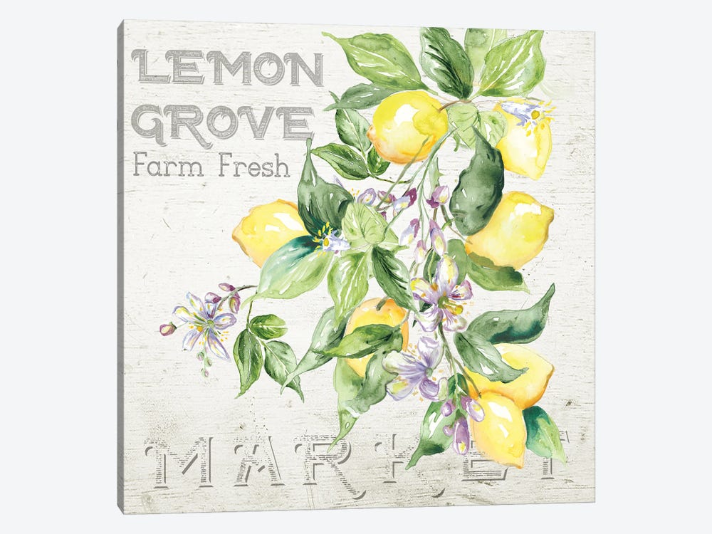 Lemon Grove II by Tre Sorelle Studios 1-piece Canvas Wall Art