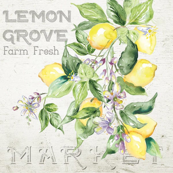 Modern Farmhouse Décor: Lemon Grove II by Tre Sorelle Studios