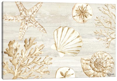 Calm Shores I Canvas Art Print - Starfish Art