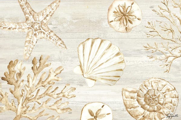 Sand Dollars: Calm Shores I by Tre Sorelle Studios