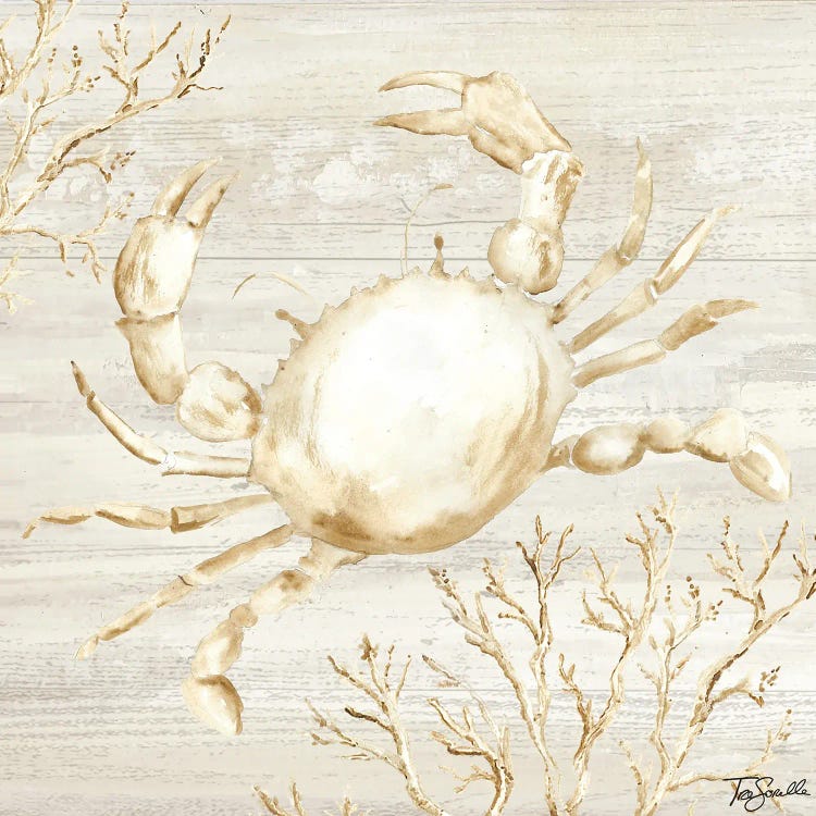 Calm Shores II by Tre Sorelle Studios wall art