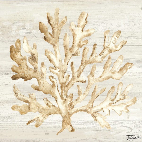 Coral: Calm Shores V by Tre Sorelle Studios