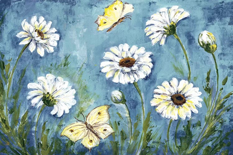 Daisies & Butterfly Meadow