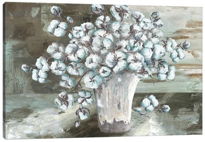 Farmhouse Cotton Bolls Still life Canvas Art Print - Tre Sorelle Studios