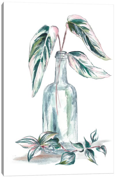 Island Tropics Frond In Bottle III Canvas Art Print - Tre Sorelle Studios