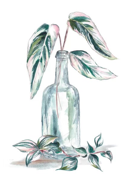 Tre Sorelle Studios: Island Tropics Frond In Bottle III by Tre Sorelle Studios
