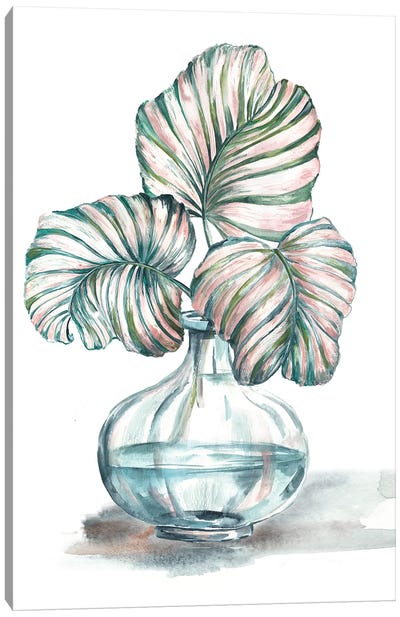 Island Tropics Frond In Bottle IV Canvas Art Print - Tre Sorelle Studios