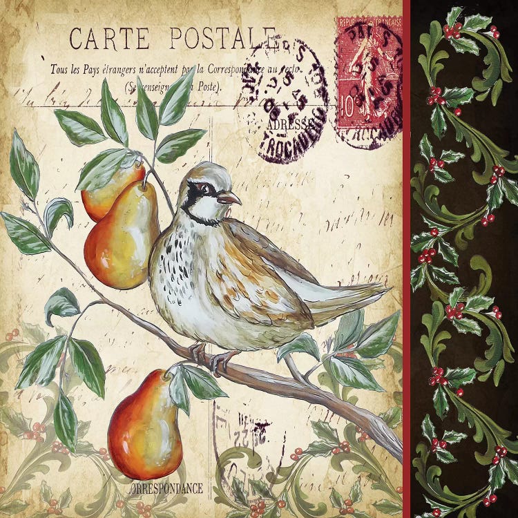 Christmas Bird Postcard IV