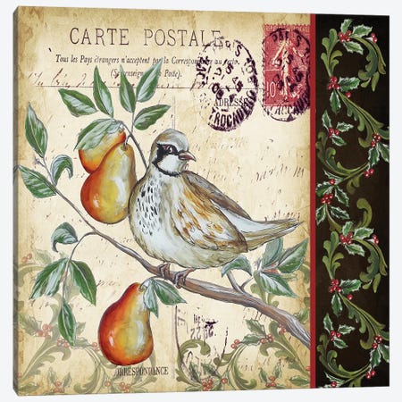 Christmas Bird Postcard IV Canvas Print #TSS96} by Tre Sorelle Studios Canvas Art Print