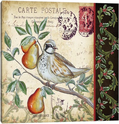 Christmas Bird Postcard IV Canvas Art Print - Vintage Christmas Décor