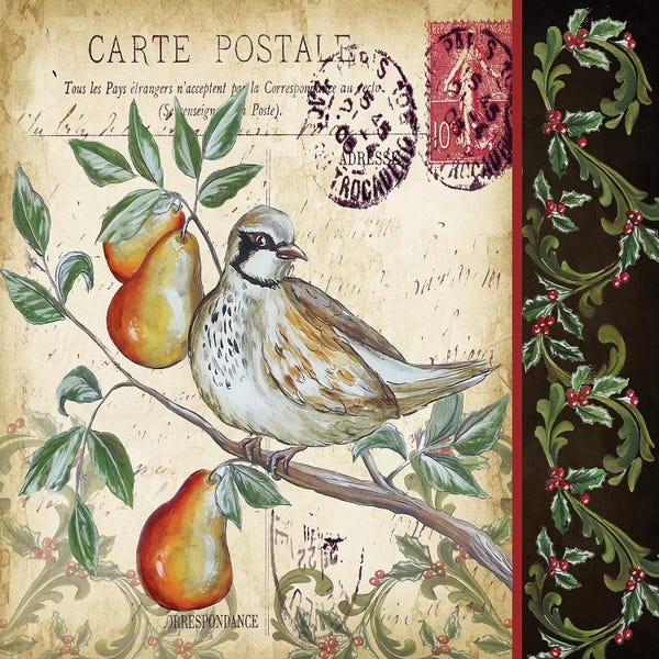 Vintage Christmas: Christmas Bird Postcard IV by Tre Sorelle Studios