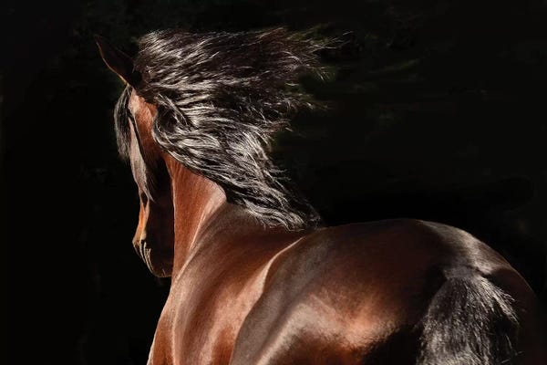 Fine Art Photography: Reflection by Tony Stromberg