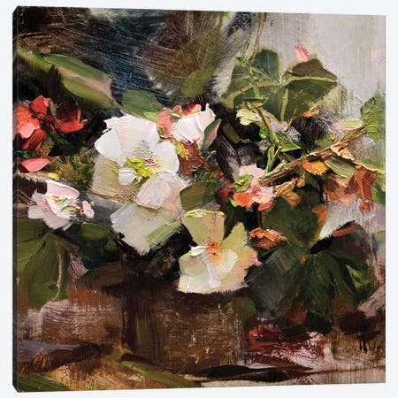 Begonias Canvas Print #TSW10} by Katie Swatland Canvas Artwork