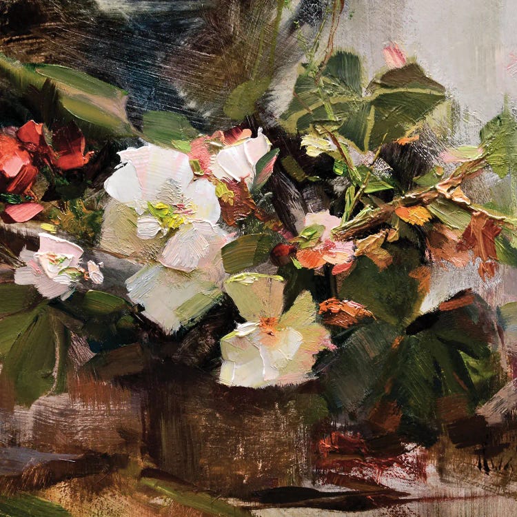 Begonias