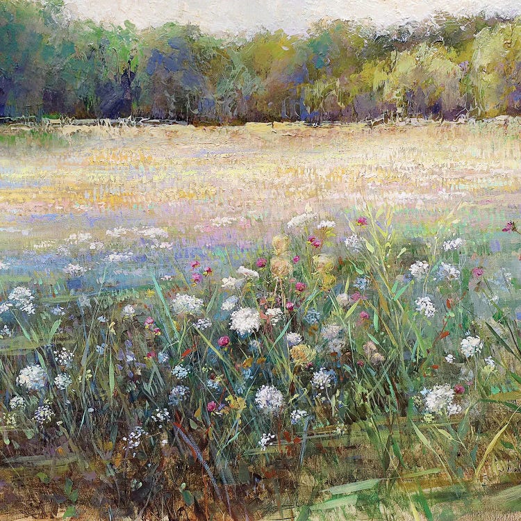 Morning Field by Katie Swatland wall art