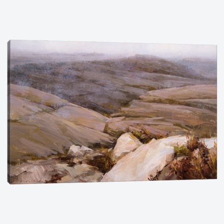 Main Mist Canvas Print #TSW4} by Katie Swatland Art Print