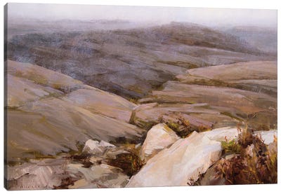 Main Mist Canvas Art Print - Valley Art