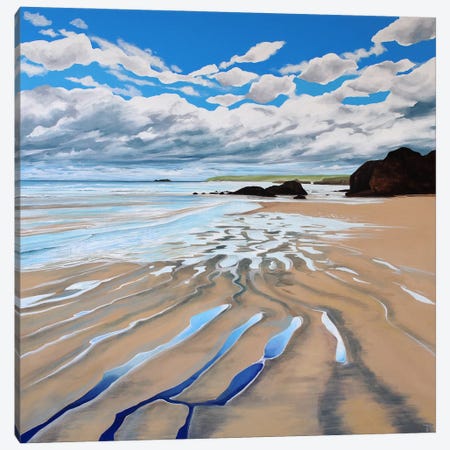 Shifting Sands Canvas Print #TSY29} by Theresa Shaw Art Print
