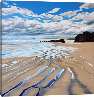 Shifting Sands Canvas Art Print - Theresa Shaw