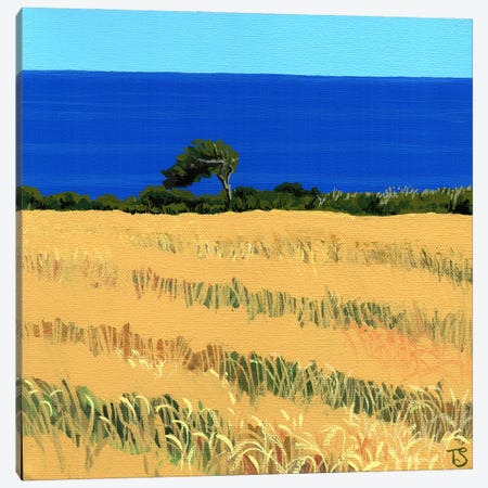 Across The Fields Canvas Print #TSY2} by Theresa Shaw Canvas Art