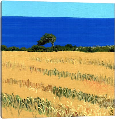 Across The Fields Canvas Art Print - Theresa Shaw