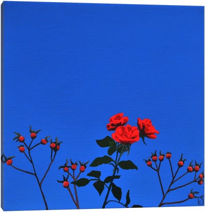 The Last Of The Roses Canvas Art Print - Theresa Shaw