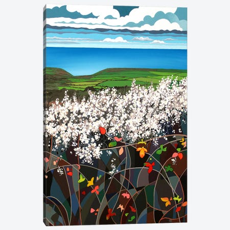 Blackthorn Canvas Print #TSY5} by Theresa Shaw Art Print