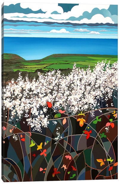 Blackthorn Canvas Art Print - Theresa Shaw