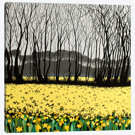 Cornish Spring Canvas Print #TSY9} by Theresa Shaw Canvas Artwork