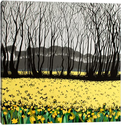Cornish Spring Canvas Art Print - Daffodil Art