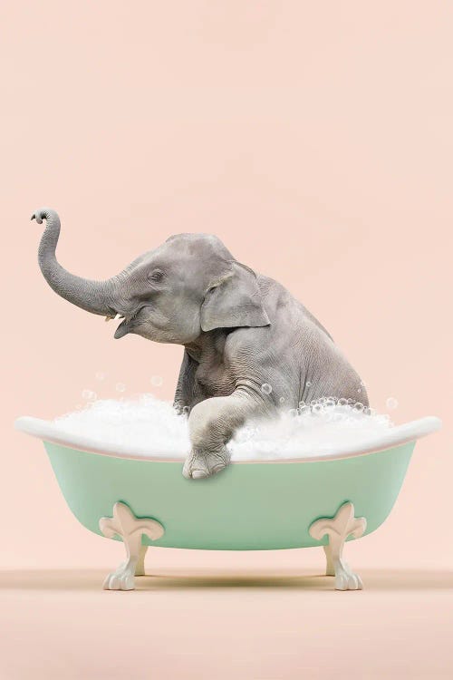 Elephant In A Bathtub