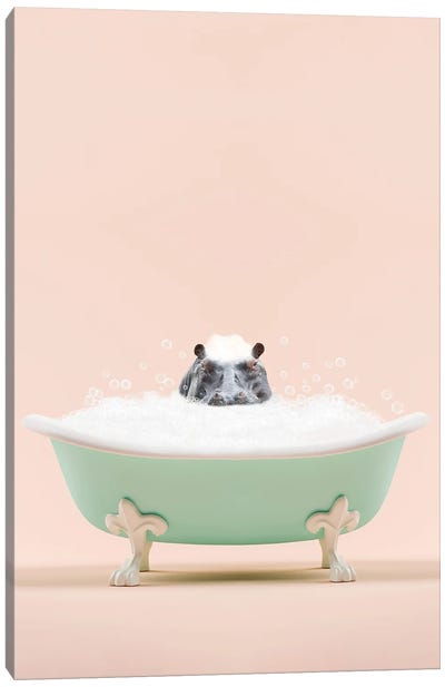 Hippo In A Bathtub Canvas Art Print