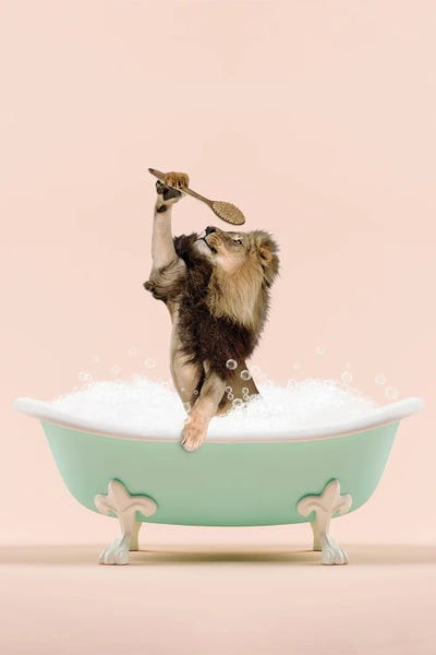 Lion In A Bathtub