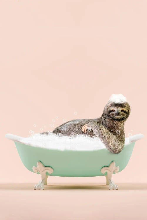 Sloth In A Bathtub