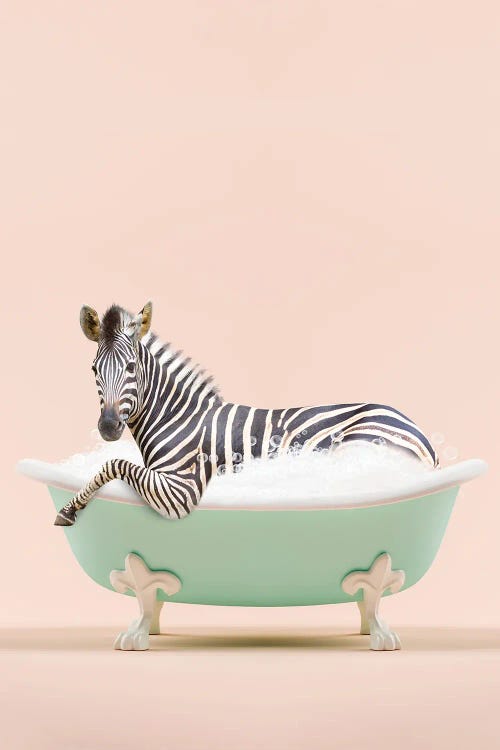 Zebra In A Bathtub