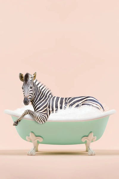 Zebras: Zebra In A Bathtub Pink by Tiny Treasure Prints