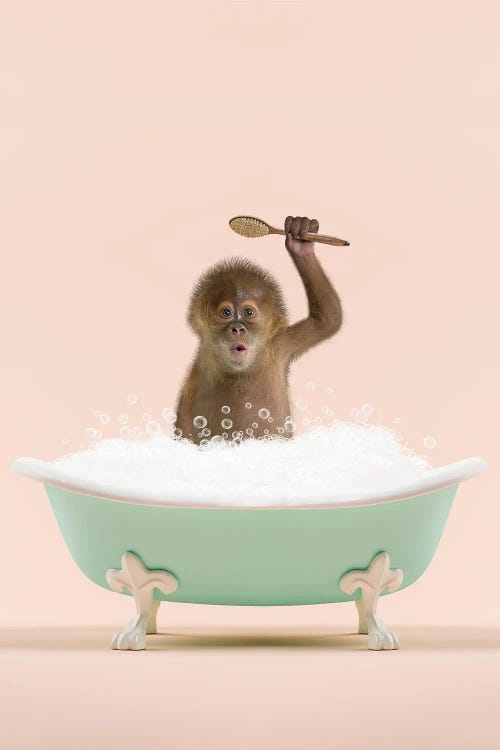 Monkey In A Bathtub