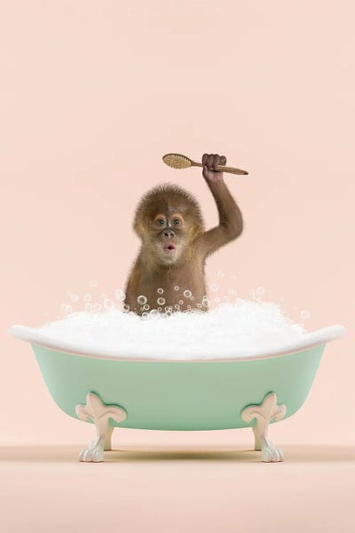 Primates: Monkey In A Bathtub by Tiny Treasure Prints