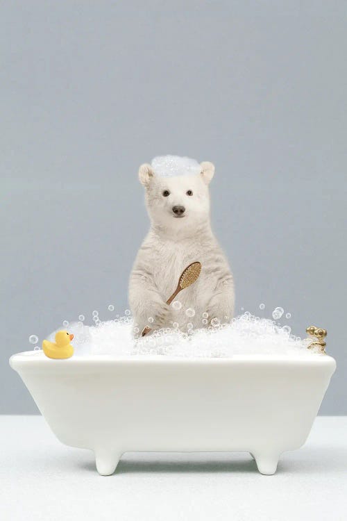 Polar Bear In A Bathtub