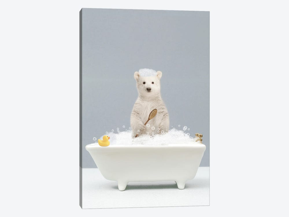 Polar Bear In A Bathtub by Tiny Treasure Prints 1-piece Canvas Art