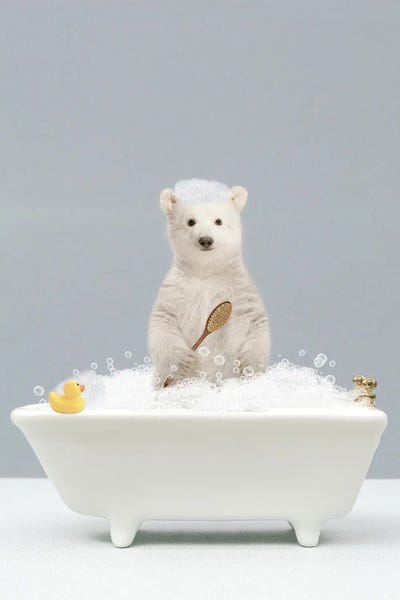 Polar Bears: Polar Bear In A Bathtub by Tiny Treasure Prints