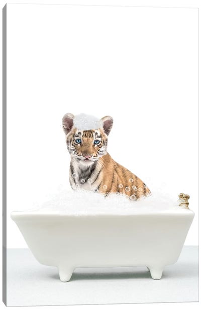 Baby Tiger In A Bathtub Canvas Art Print - Tiger Art