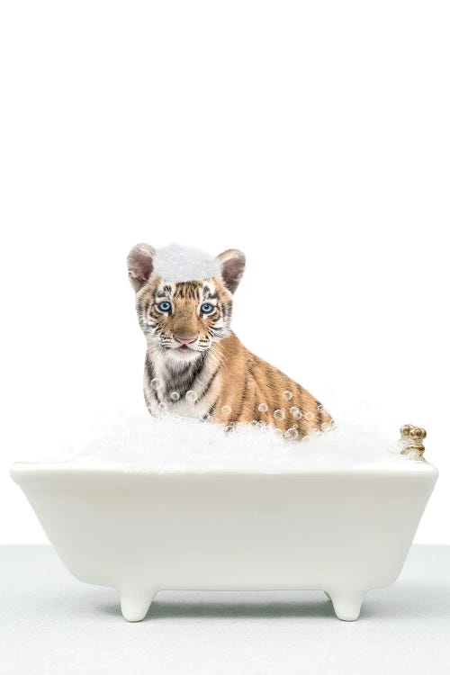 Baby Tiger In A Bathtub